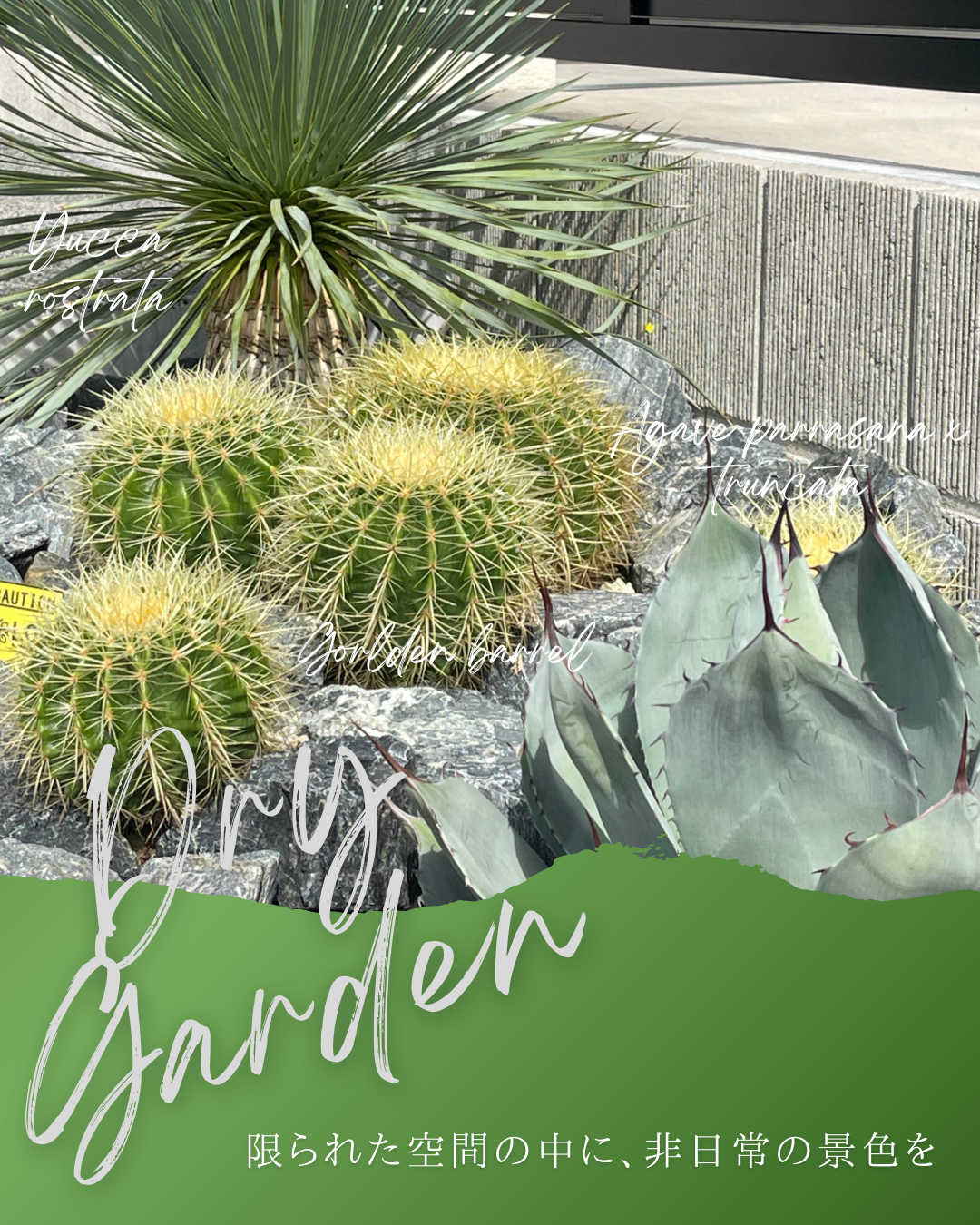 緑　ナチュラル　バケーション　instagram投稿